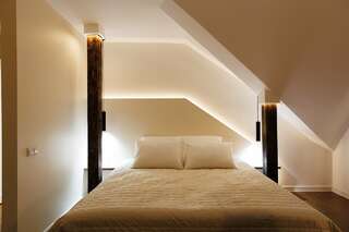 Мини-отель Шувалоff Санкт-Петербург Двухместный номер Делюкс с 1 кроватью-1